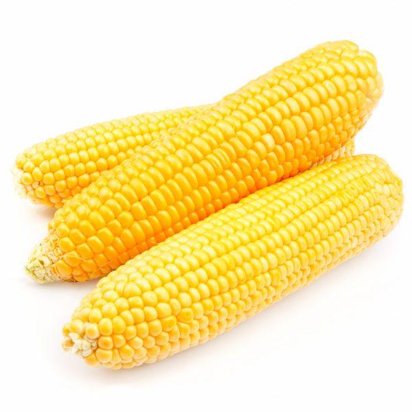 Corn On The Cob 2 Ears