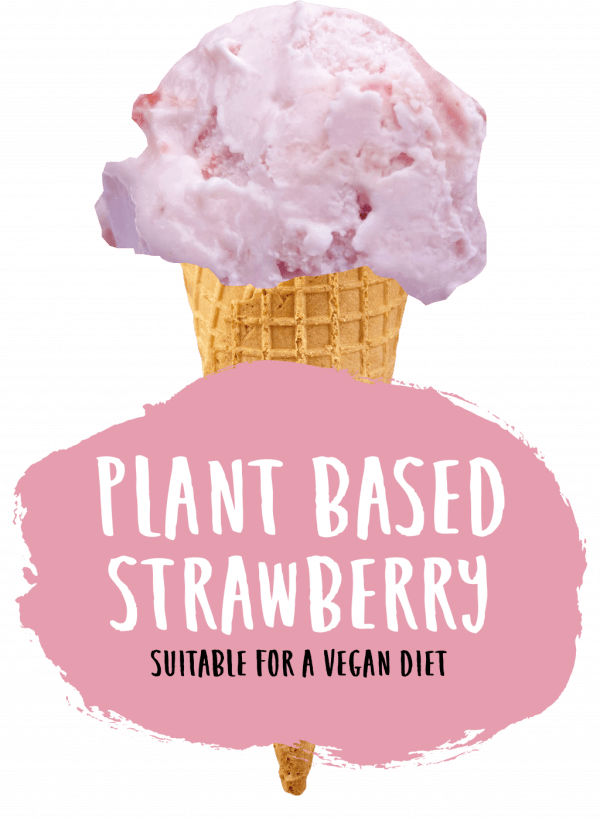 Marshfield Plant Based Strawberry Ice Cream - Image 2