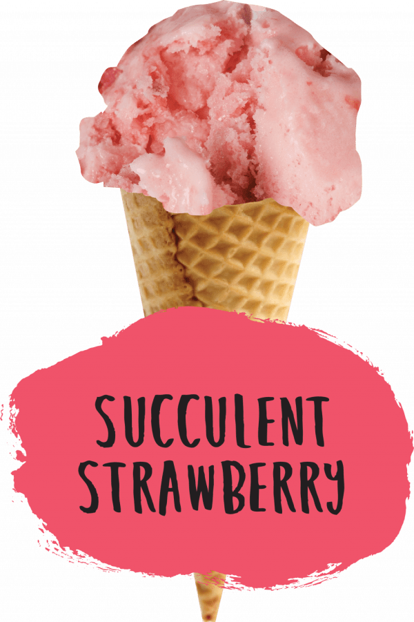 Marshfield Strawberry - Image 2