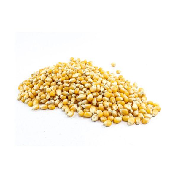 Popping Corn