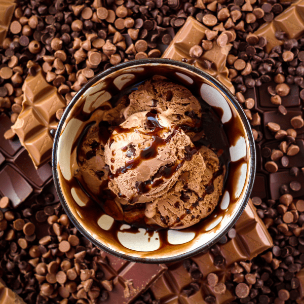 Marshfield Chocolate Heaven