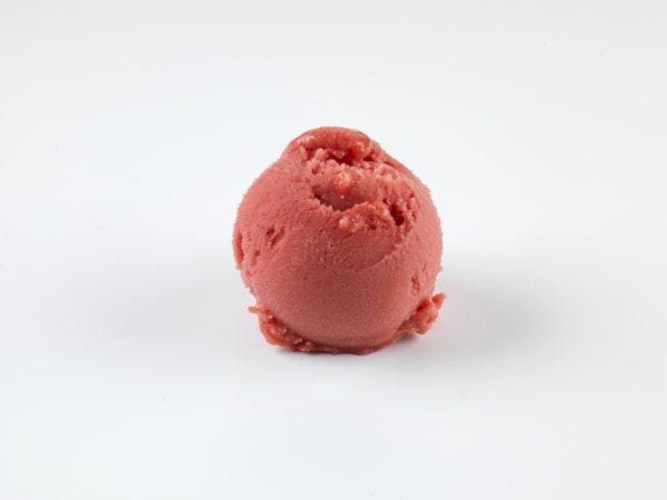 Gelarto Blood Orange Sorbet