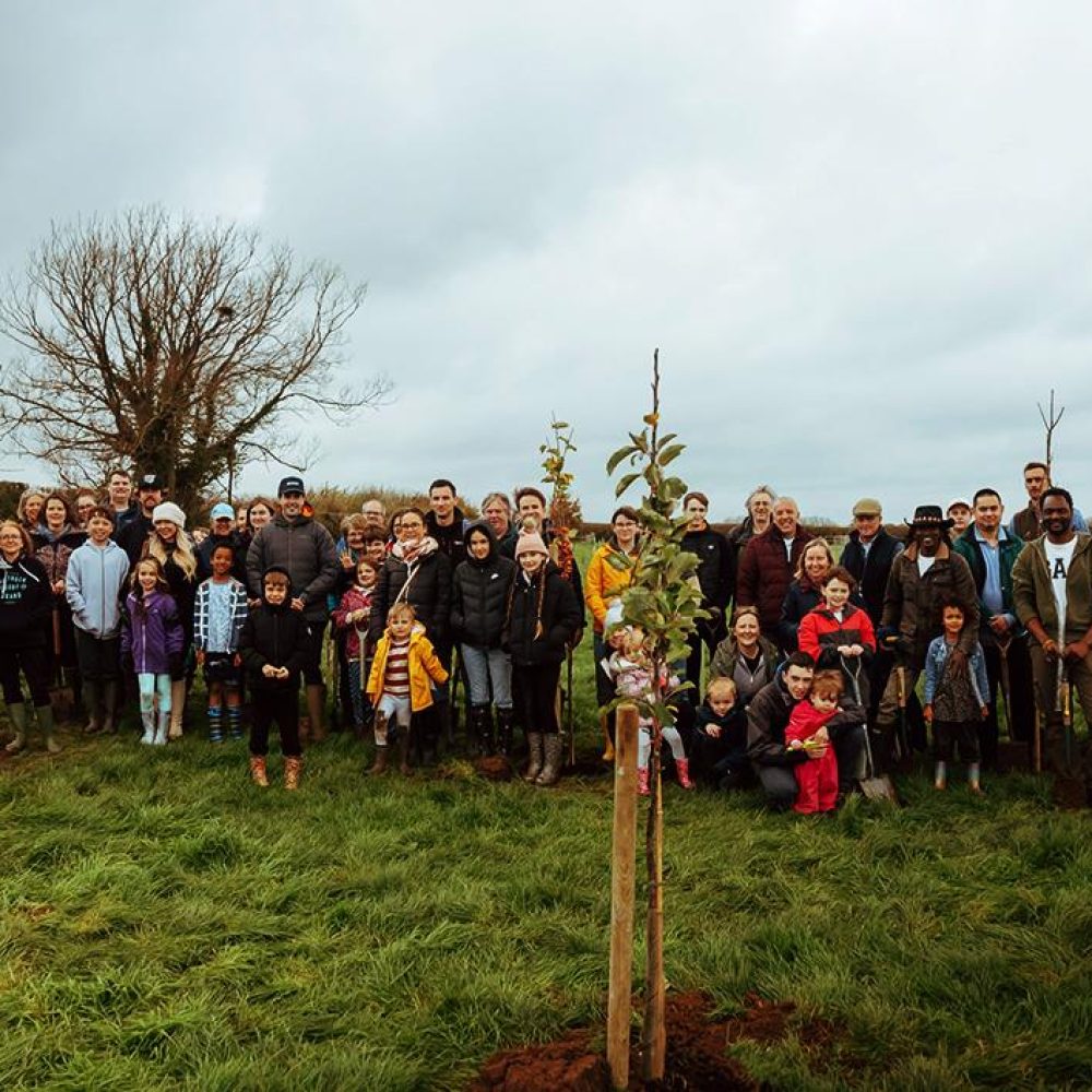 Tree planting